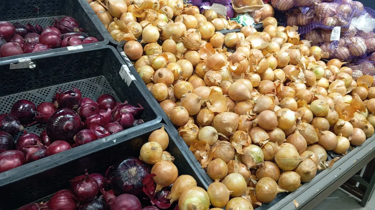 В марте покупаю лук мешками и ни в коем случае не выбрасываю шелуху - вот что я с ней делаю