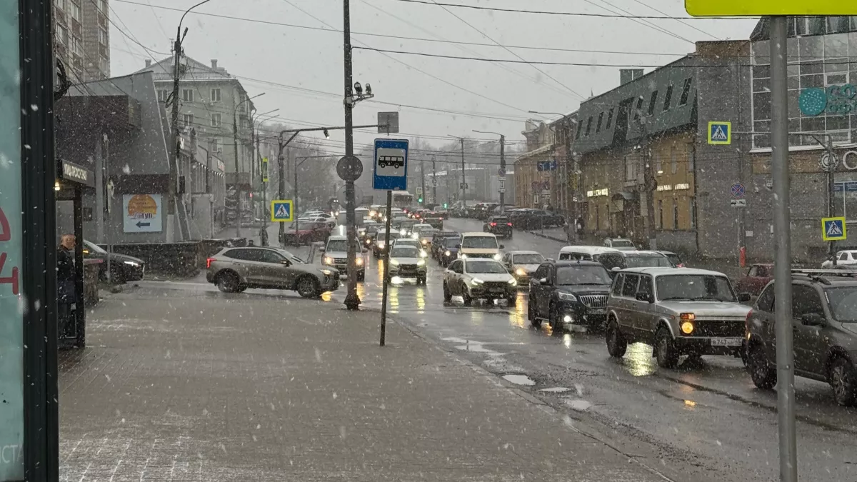 Инспектор ГАИ поставил точку: можно ли останавливаться на автобусной остановке, чтобы высадить пассажира