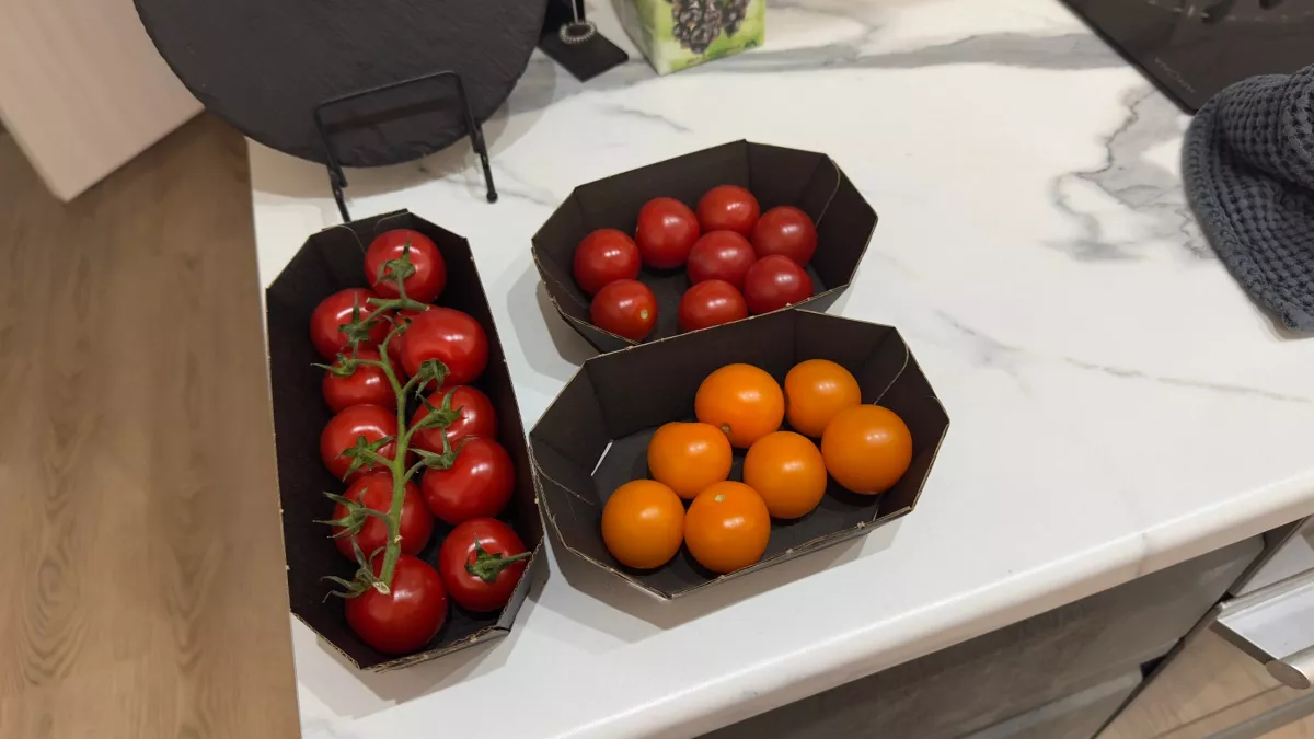 Больше никакого пластикового вкуса: ученые вывели томаты, которые пахнут очень неожиданно