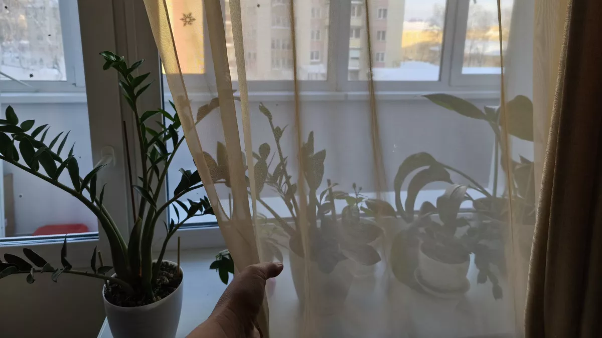 Беру обычный рулон туалетной бумаги - и из щелей не дует даже в лютый мороз. Подоконник все время теплый