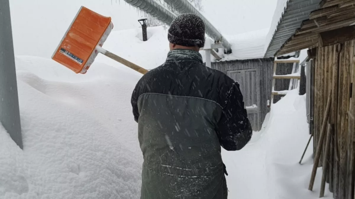 Только прожив 3 года в деревне, поняли: тут зарабатывают вовсе не сельским хозяйством - такие суммы в городе даже не снились