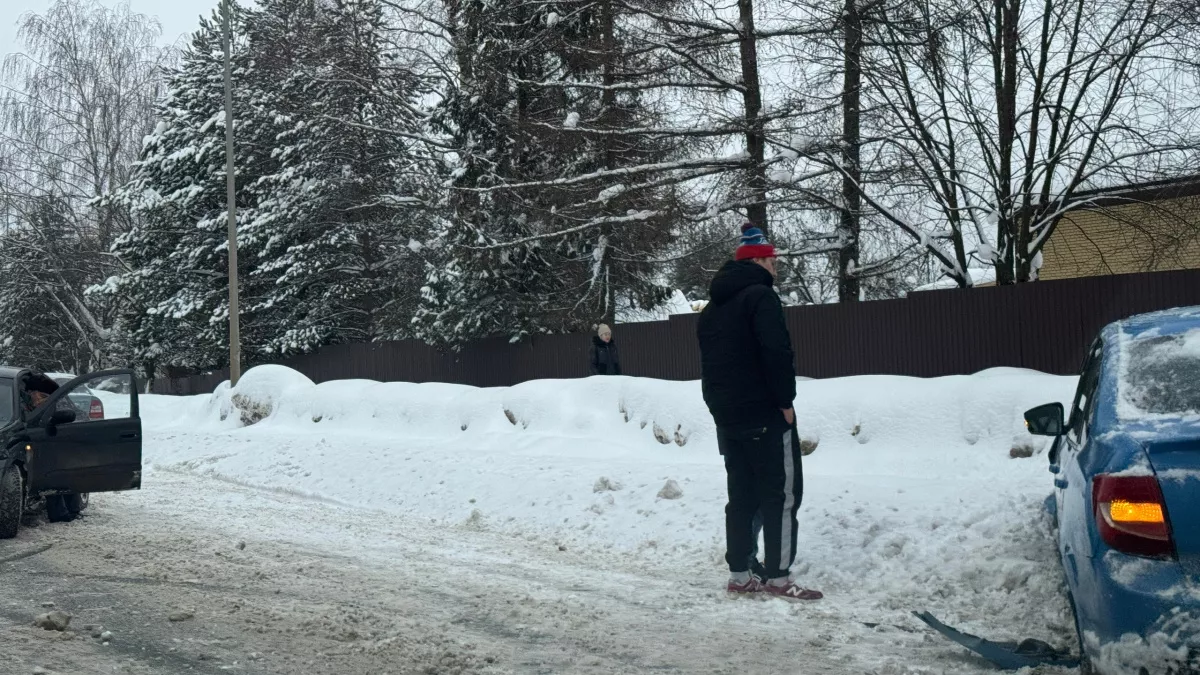 Из Кировской области не дали вывезти 353 кубометра зараженной древесины