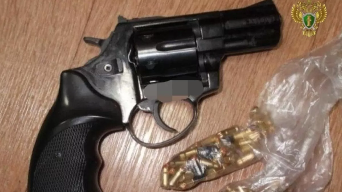 В Санчурском районе мужчина открыл огонь из револьвера по бригаде энергетиков