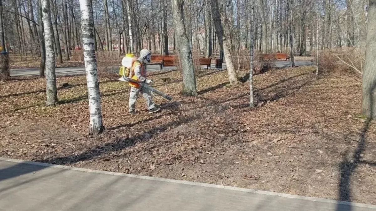 Кировская область попала в зону высокого эпидемиологического риска из-за клещей