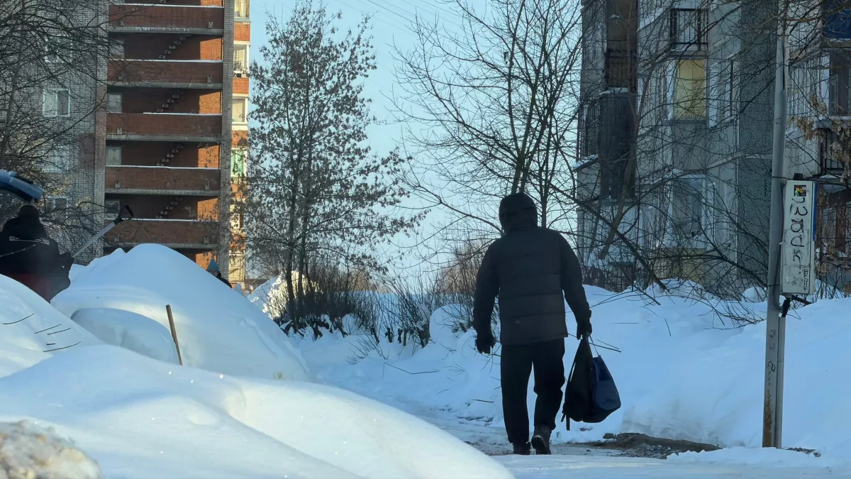 Что ждет каждого в 2026 году: большой прогноз для всех знаков и практические советы