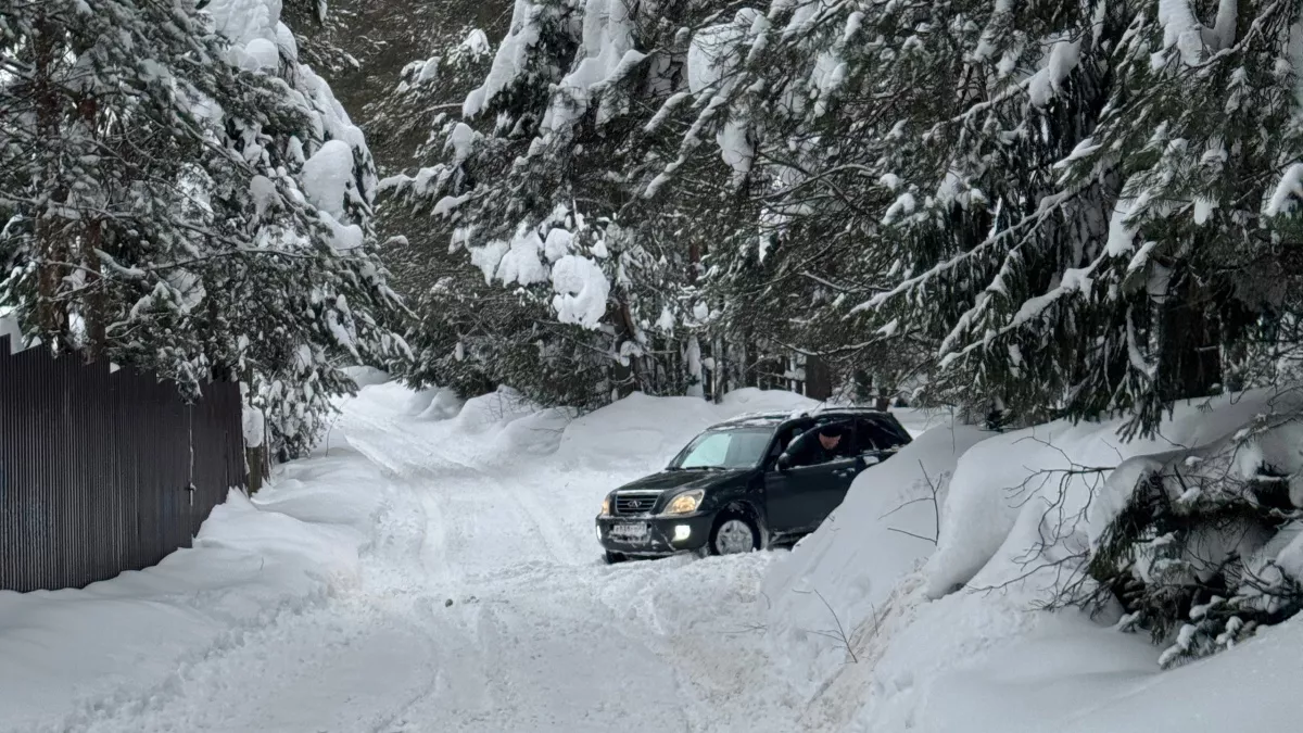 Браконьер из Нолинска застрелил двух лосих и поплатился трактором