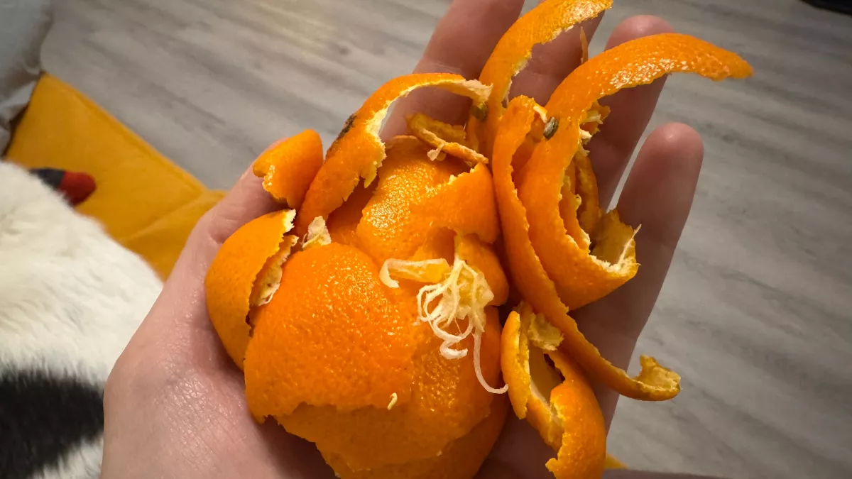 Мандариновые кожурки заливаю уксусом - и всю весну не нарадуюсь своей находчивости: шикарный лайфхак для хозяек