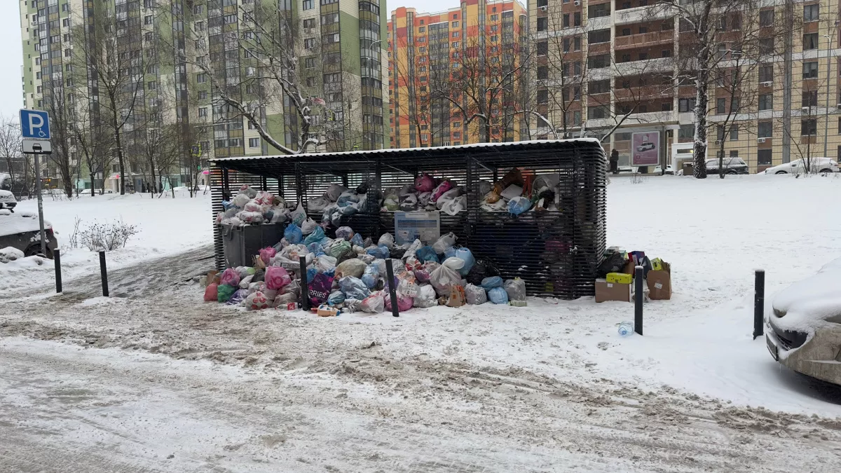 Деньги за вывоз мусора вернут на счета жильцов — как получить перерасчет за ЖКХ