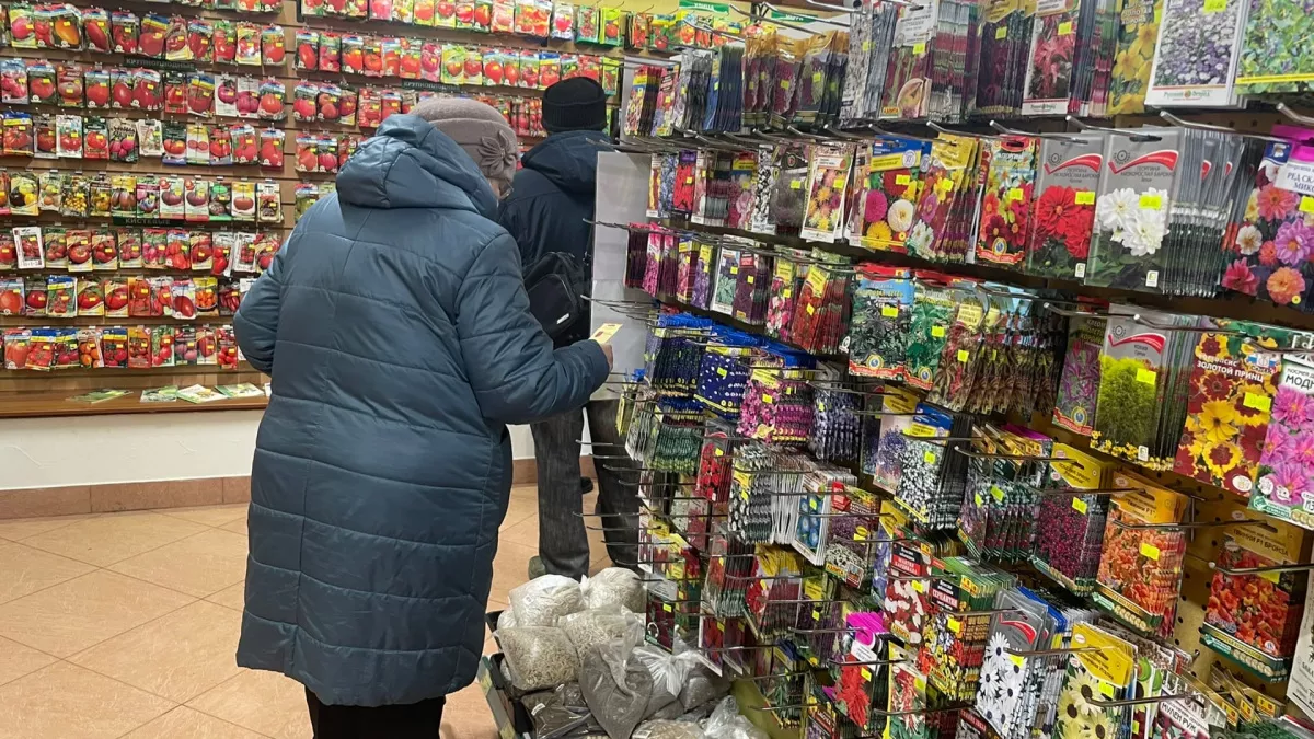 Забудьте про горькую морковь: три сорта с медовым вкусом и без сердцевины