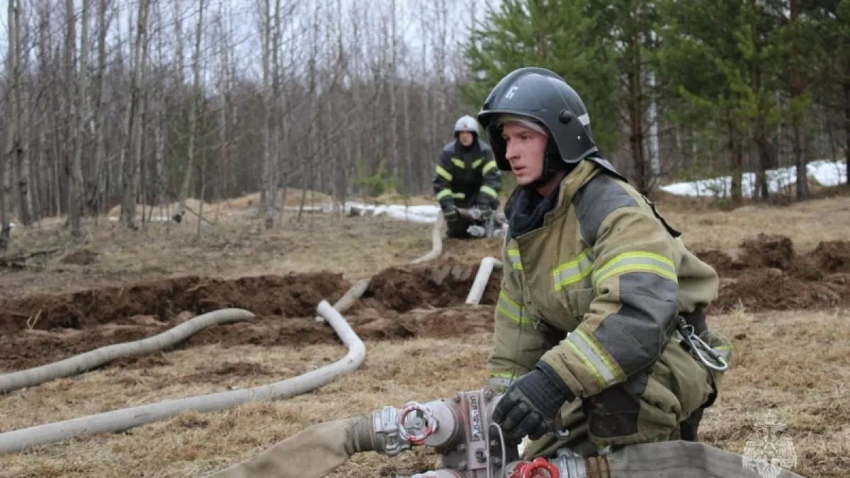 Власти Кировской области утвердили список мест с наивысшим риском лесных пожаров