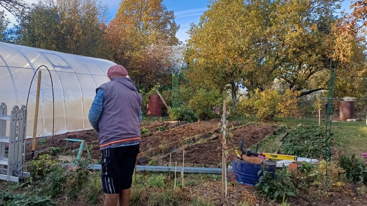 Дача с подвохом: почему в СССР всем выделяли участки по 6 соток