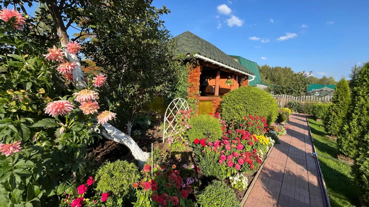 Растения из серии "посадил и забыл": цветут пышно и обильно вообще без вашего участия