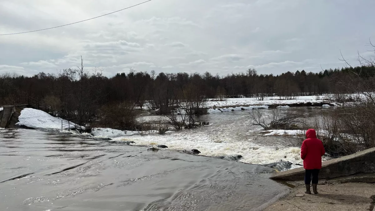Главные одиночки среди знаков зодиака: люди с этой датой рождения постоянно остаются в стороне
