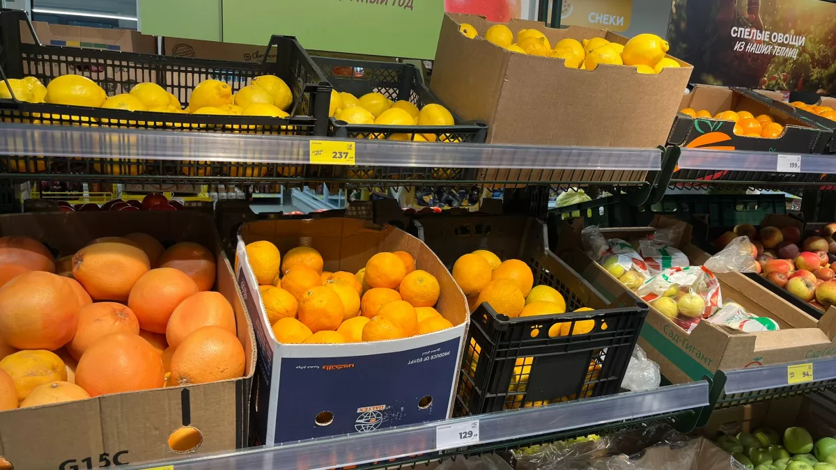 Тонна зараженных апельсинов из Египта поступит на прилавки магазинов в Кирове