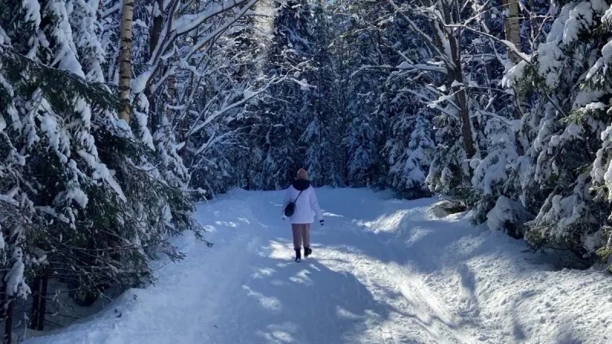 В Республику Беларусь экспортировали 66 тонн семян из Кировской области