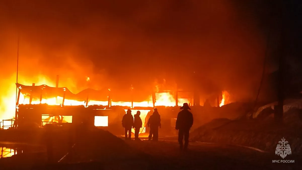 180 коров попали в огненную ловушку на ферме в Унинском округе