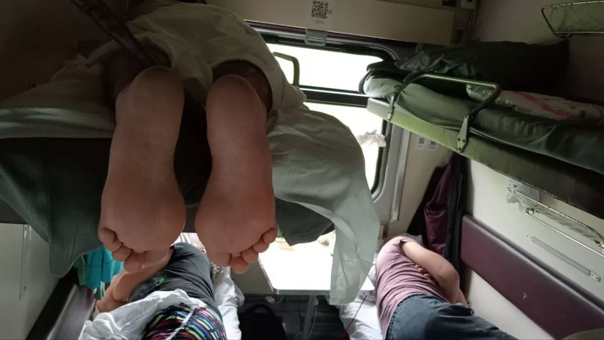 РЖД пересмотрели правила: вот что теперь категорически запрещено в поездах - как будем ездить в сезоне 2026