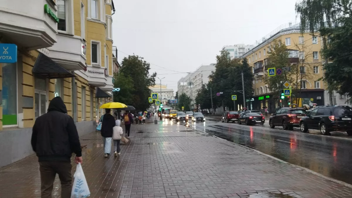 Эль-Ниньо принесет самое холодное лето в Кировскую область 