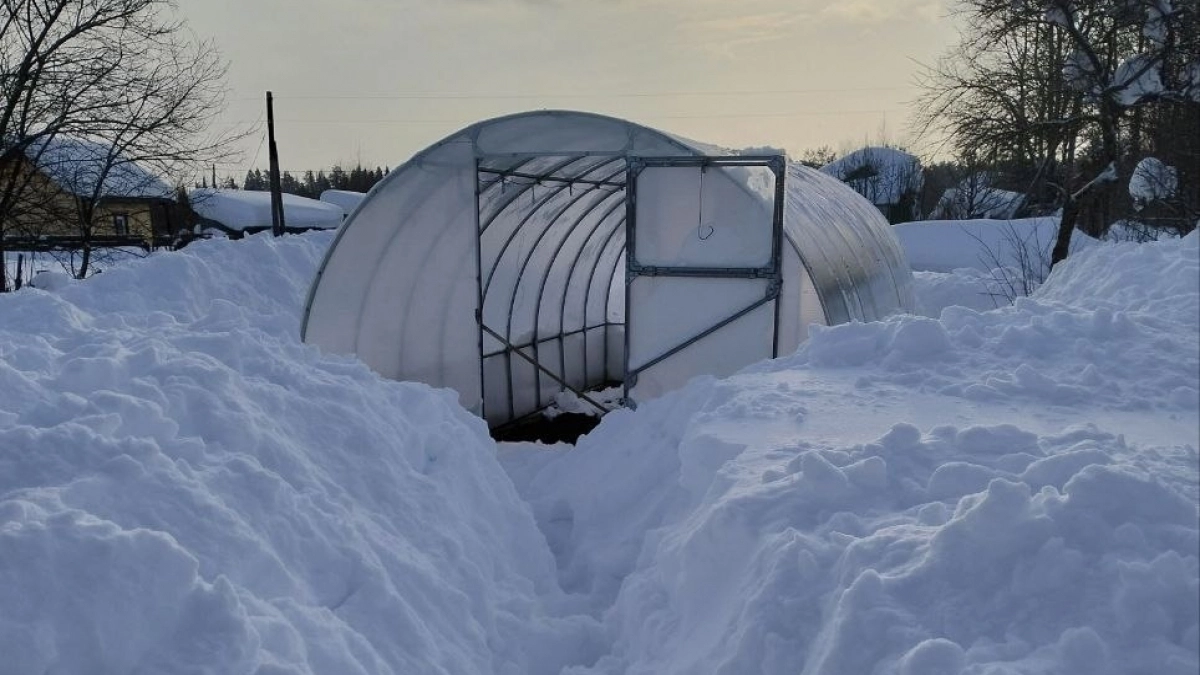Не смейте брать лопату – погубите будущий урожай: как заставить снег таять в 3 раза быстрее без вреда для участка