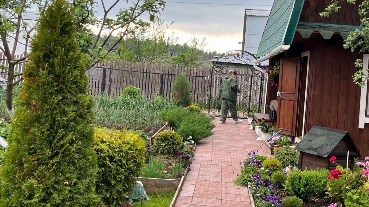 Каким будет лето 2026 после аномально теплой и снежной зимы: эксперты рассказали, к чему стоит готовиться садоводам