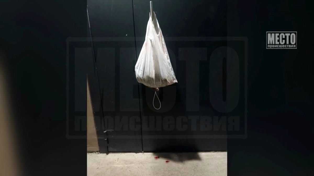 В Кирове маньяк-живодер оставил "послание" в виде пакета с трупом кота