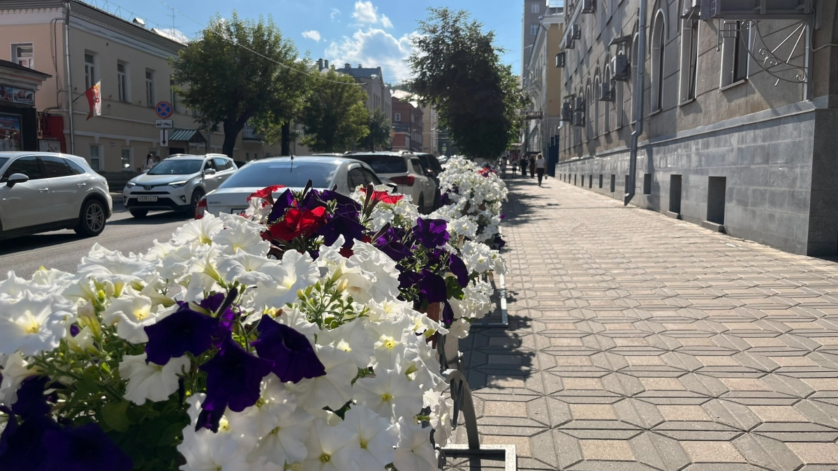 Весной в Кирове более 8,5 тысяч квадратных метров земли засадят цветами