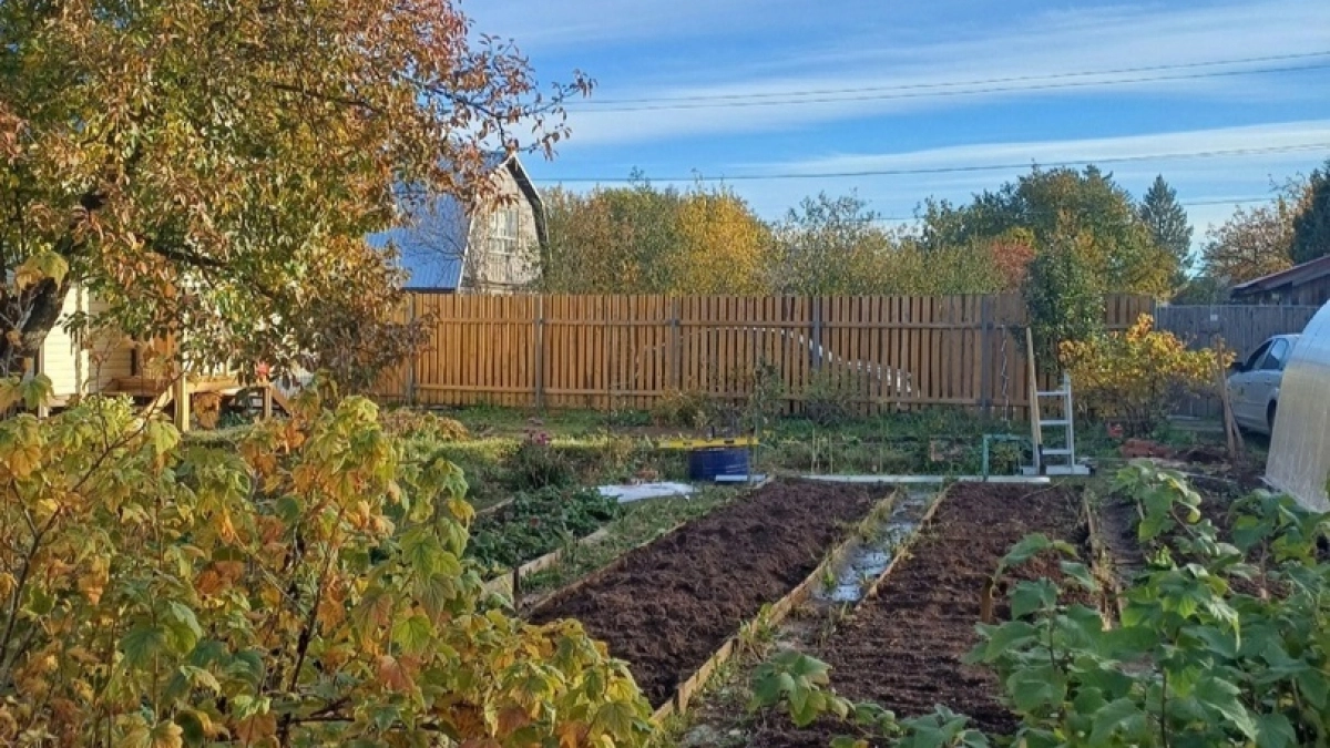 Надоела трава между грядками - сделали эти дорожки и навсегда забыли о прополке
