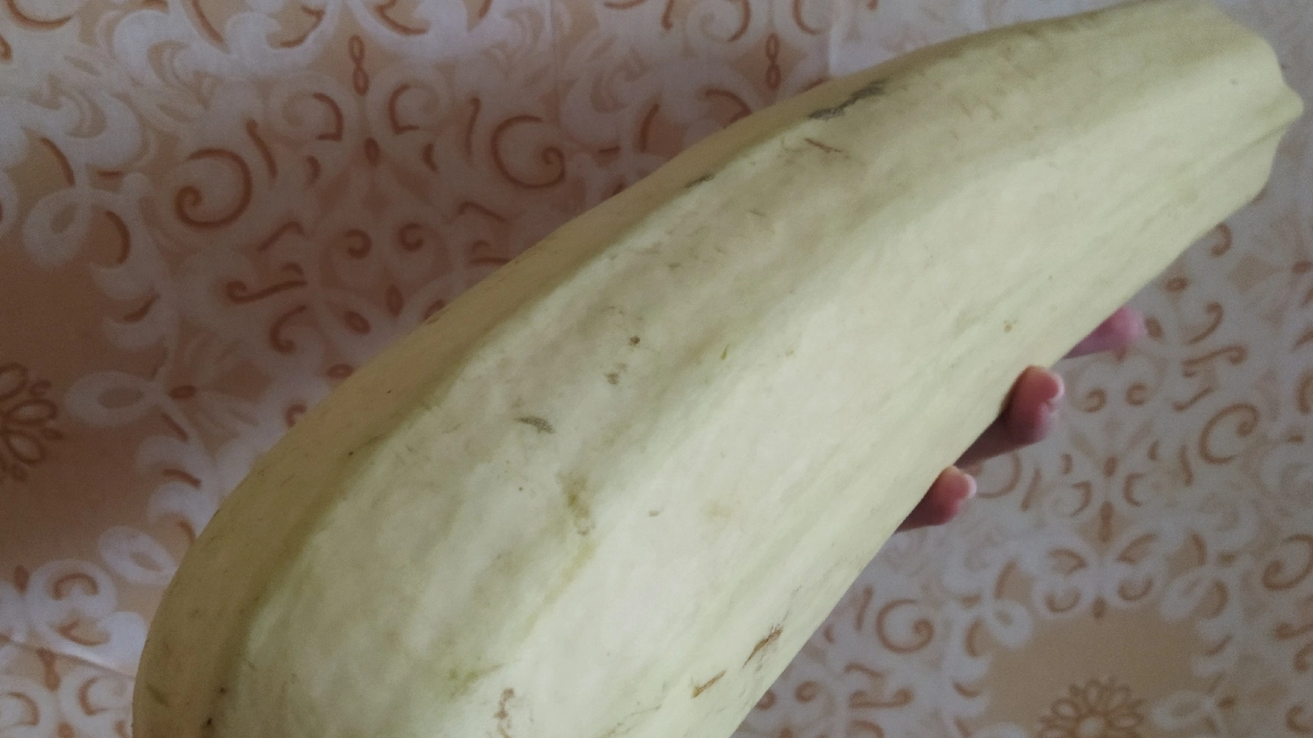 Никогда не ешьте кабачки так: этот способ приготовления признан самым вредным