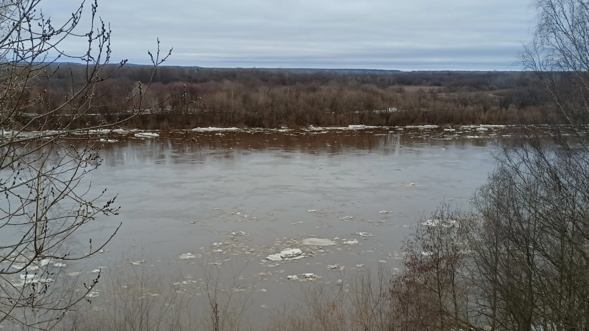Прокуратура отобрала у Лузского района берег реки, отдав его в собственность РФ