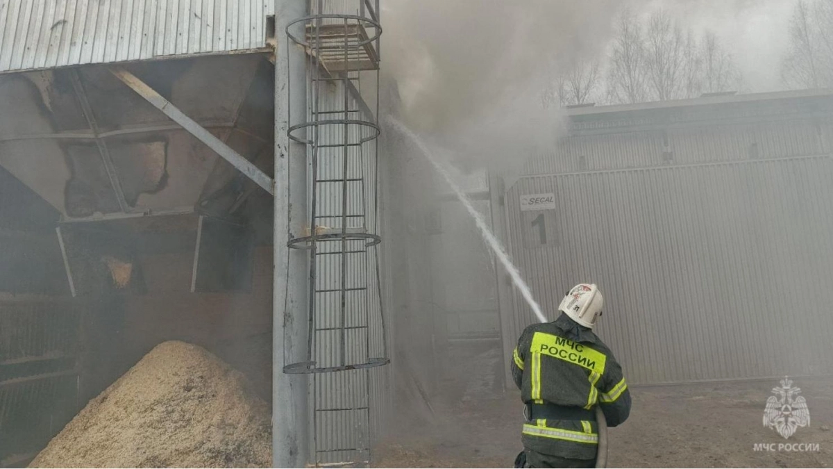 Попавшая в бункер искра спровоцировала сильный пожар на предприятии в Фаленках