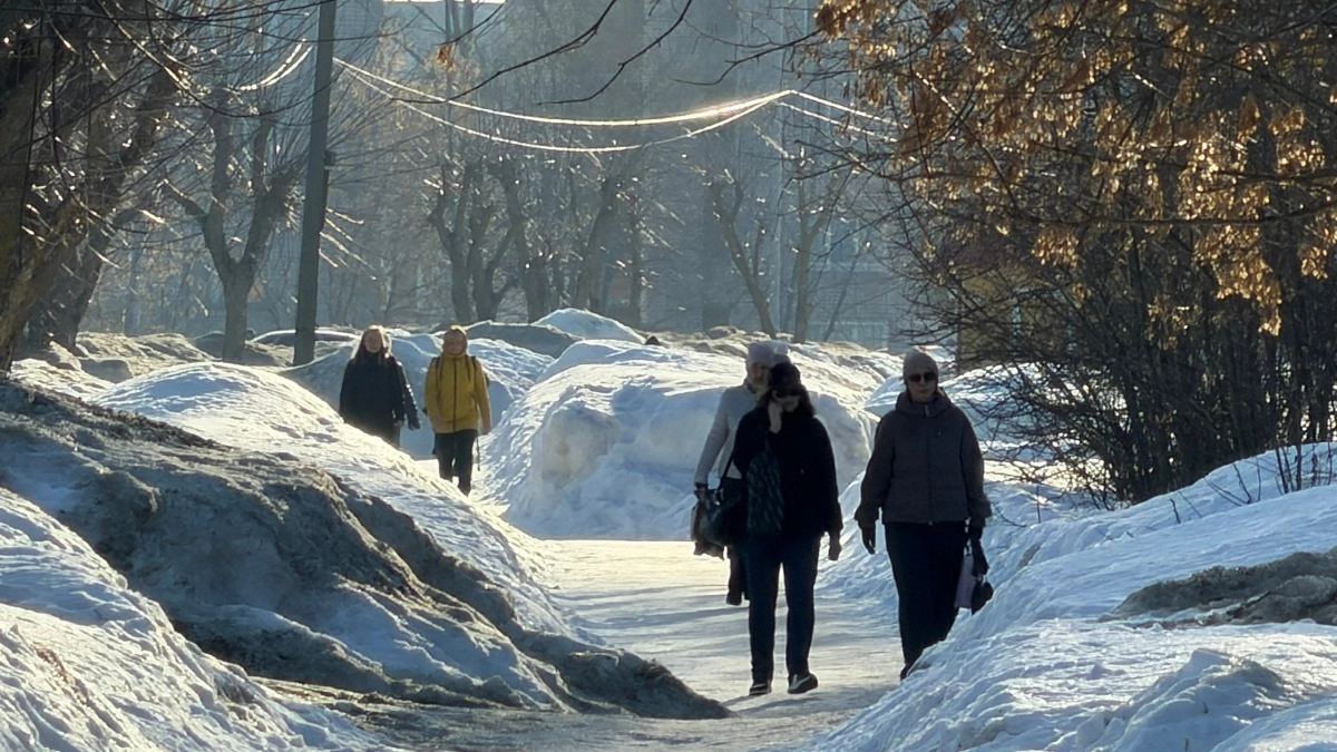 Кому сказочно повезет в 2026 году: астрологи определили знаки-фавориты 
