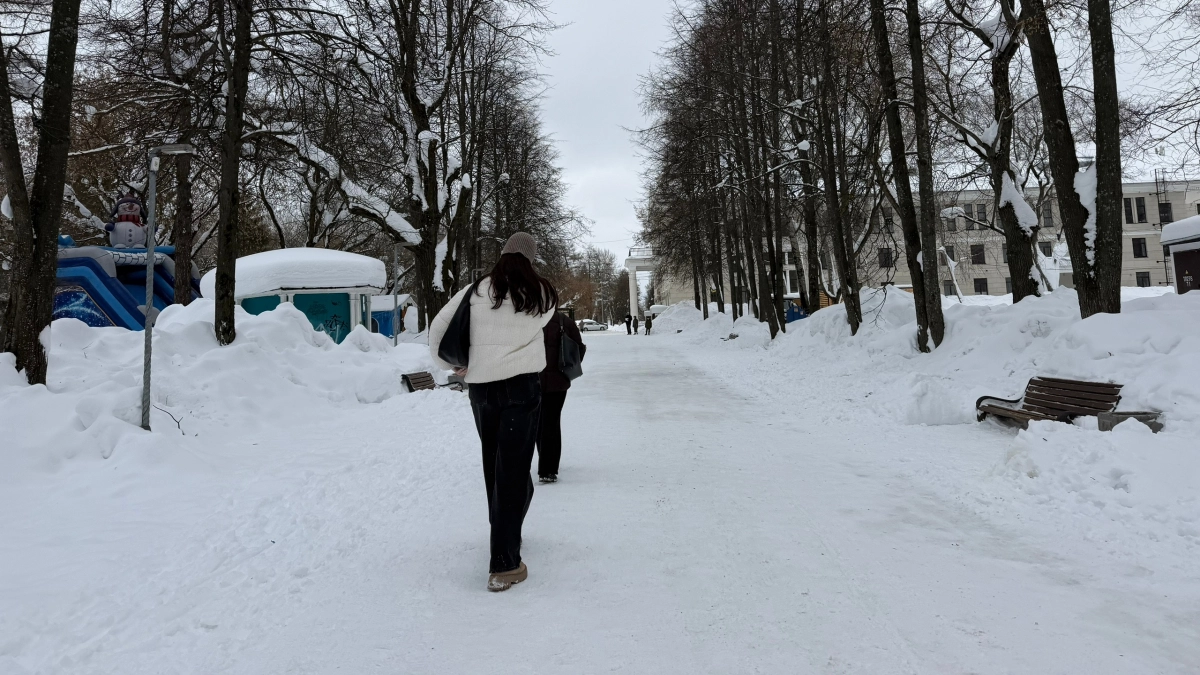 Власти Кирова потратят 7,5 миллиона рублей на содержание парка у цирка