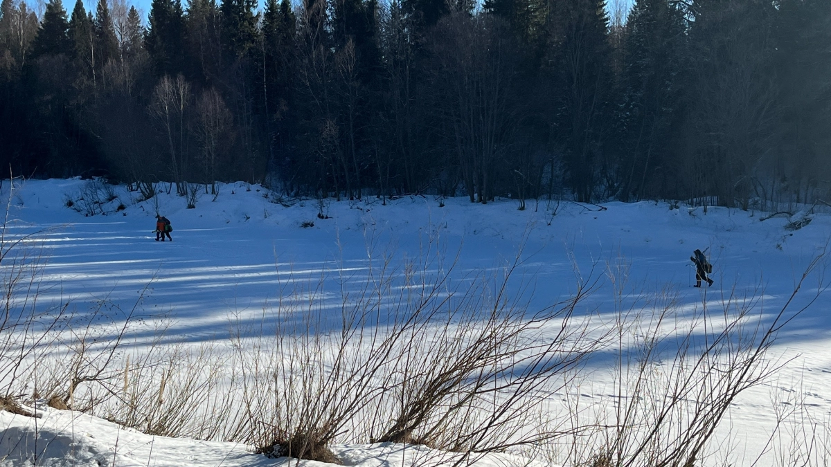 Одна выловленная стерлядь может отправить кировского рыбака за решетку на 2 года
