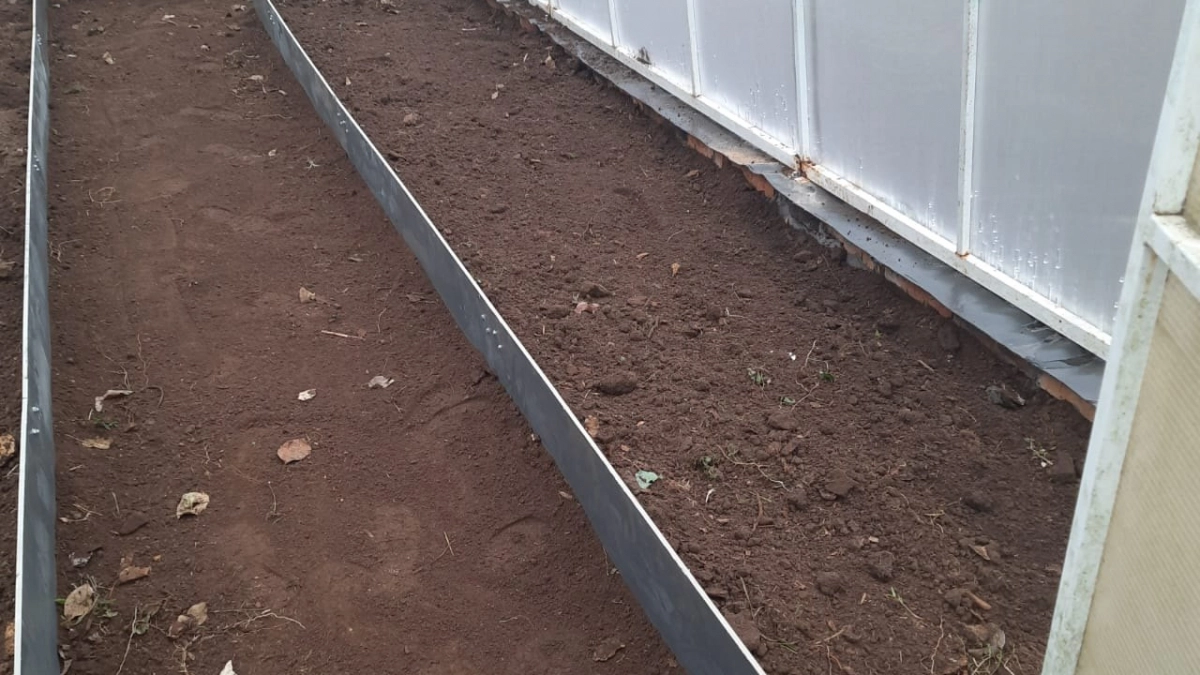 Не опоздайте с этими работами: 10 дел в саду и огороде в апреле, которые нельзя откладывать