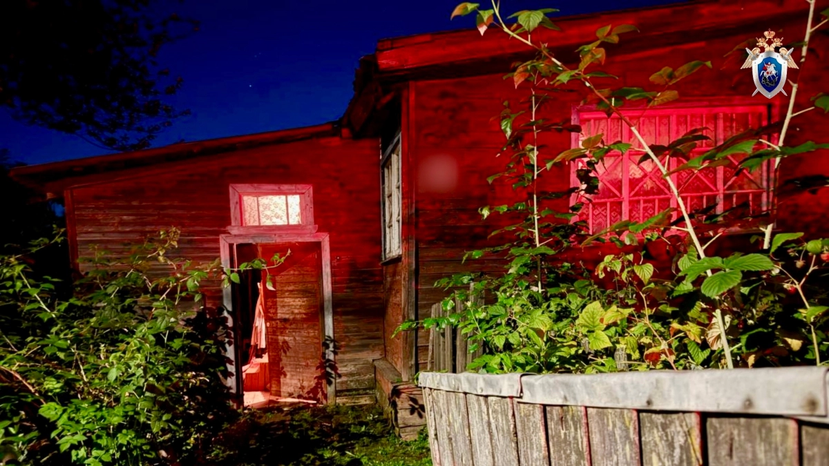 Житель Кирова получил 10 лет строгого режима за жестокое убийство родного брата