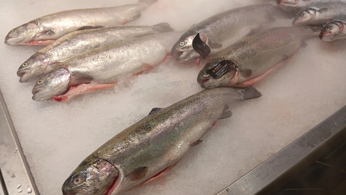 Покупаю самую дешевую красную рыбу и превращаю в форель: рецепт "стащила" из дорого ресторана