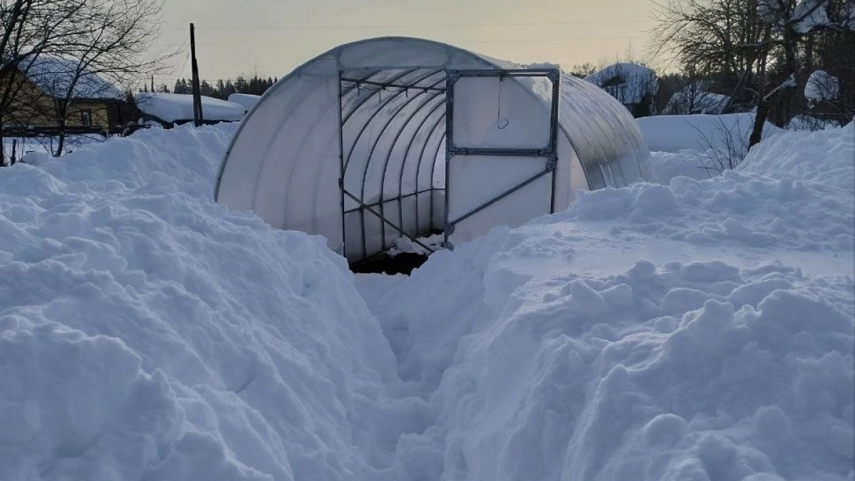 Не смейте брать лопату – погубите будущий урожай: как заставить снег таять в 3 раза быстрее без вреда для участка