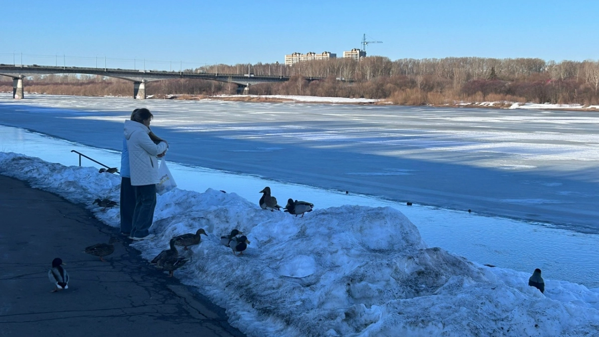 Какая погода ждет кировчан 27 марта