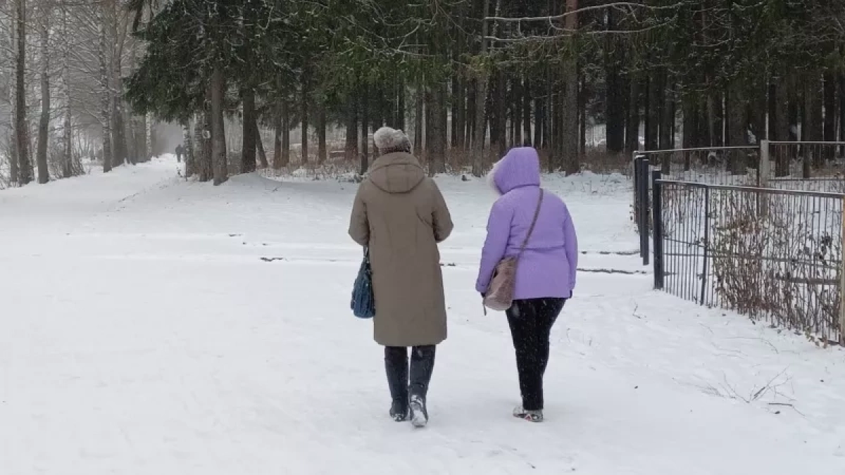 В Кировской области приняли закон о введении пониженных налоговых ставок