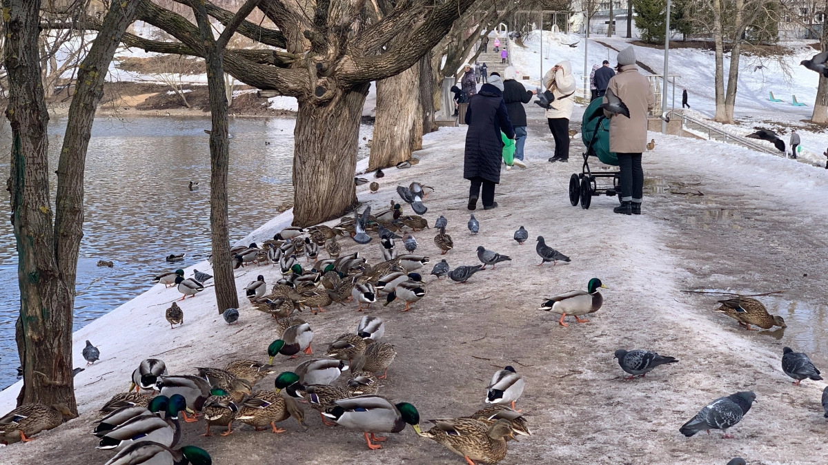 Зима еще вернется, не расслабляйтесь: Вильфанд опроверг прогнозы на апрель