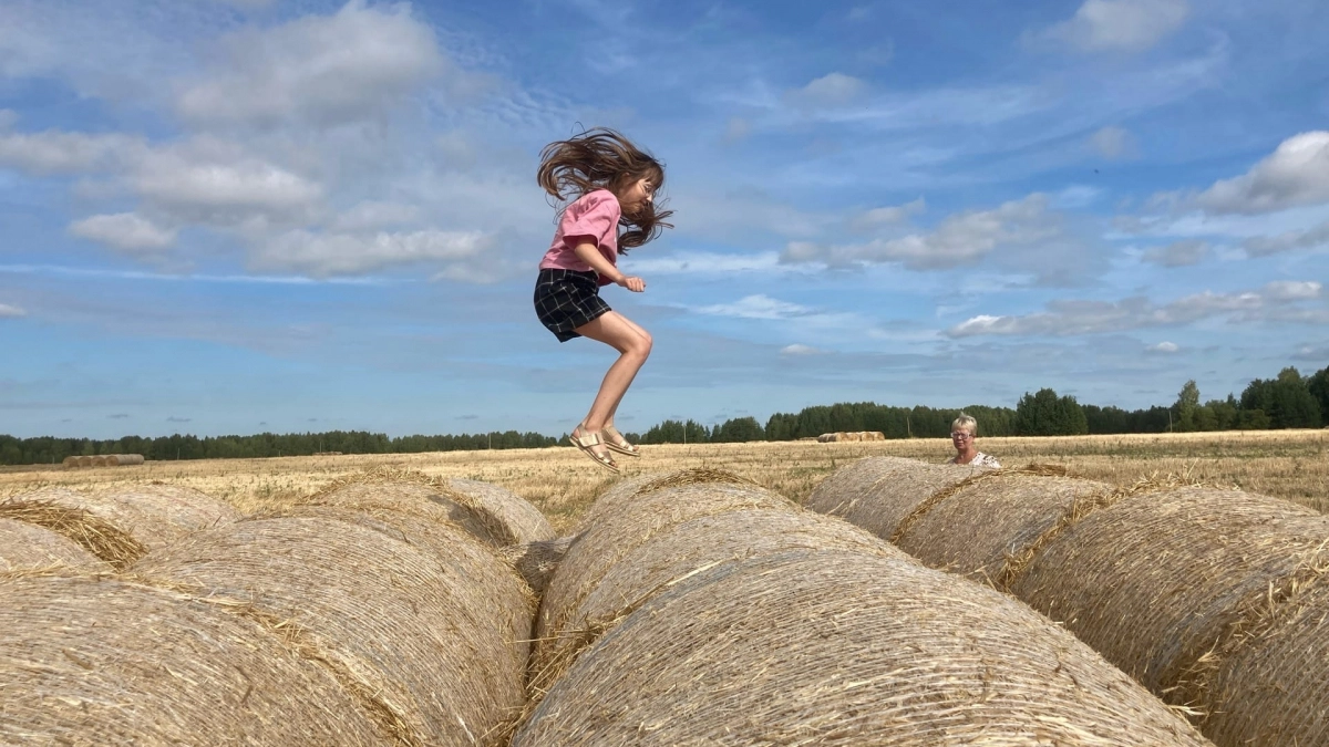Летом Россию ждет климатический апокалипсис: Вильфанд дал прогноз по регионам