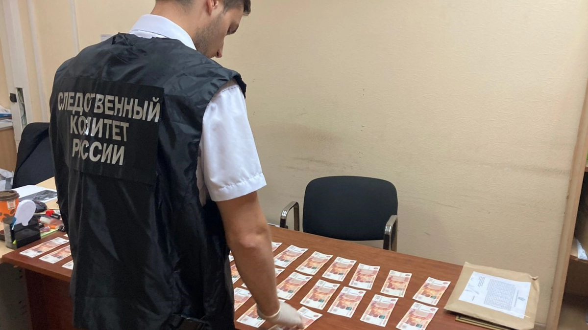 Женское ОПГ из Казани ответит за криминальный налоговый бизнес в Вятских Полянах