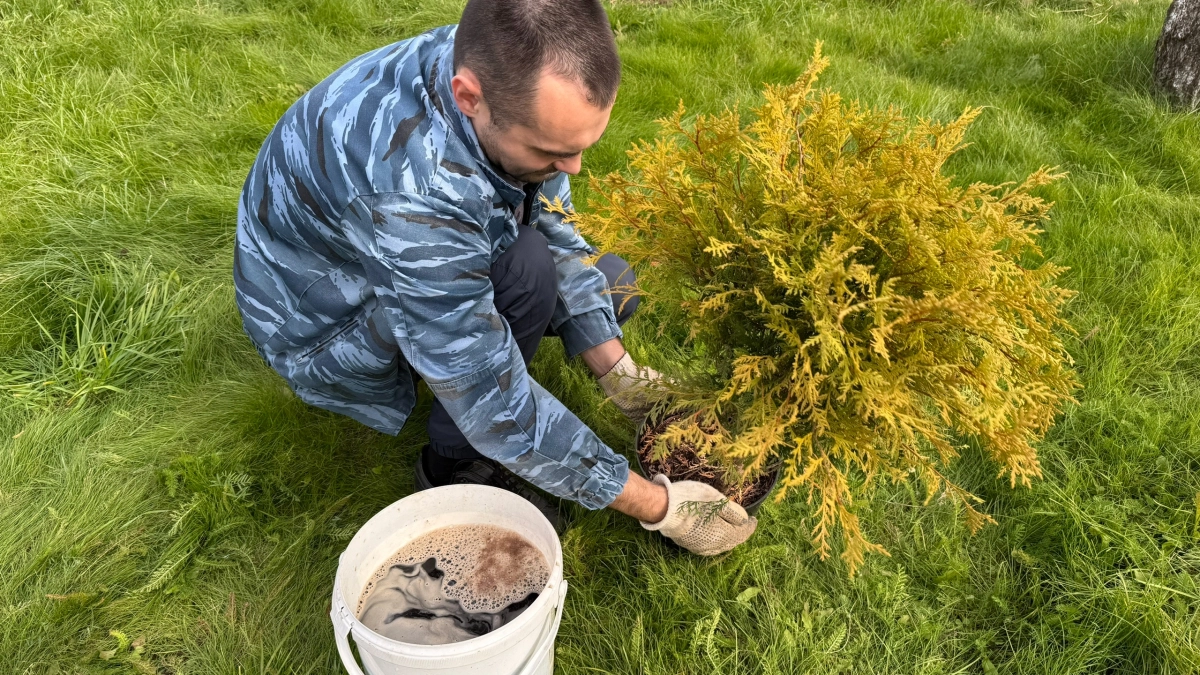 Каким будет лето 2026 после аномально теплой и снежной зимы: эксперты рассказали, к чему стоит готовиться садоводам