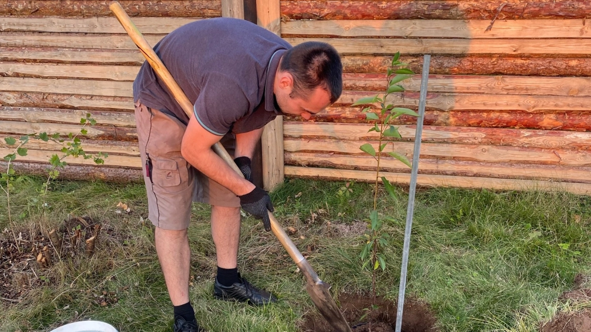 Толпа китайцев караулила у бабушкиного огорода и просила продать им сорняк - "чудо", которое в России мало кого интересует