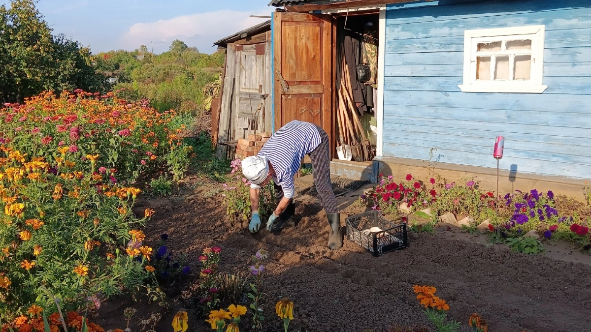 Горсть на грядку - и почва вновь радует плодородием: агроном дала дельный совет на этот сезон
