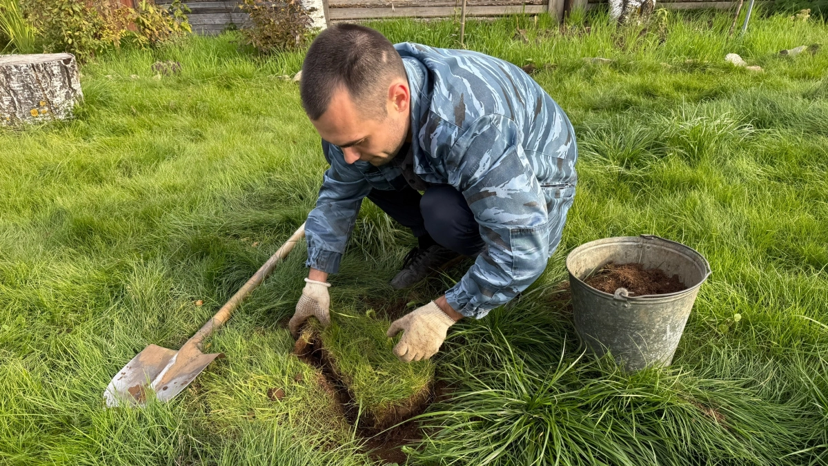 Весной всегда закапываю в огороде тряпку - необычный, но полезный совет от французских фермеров