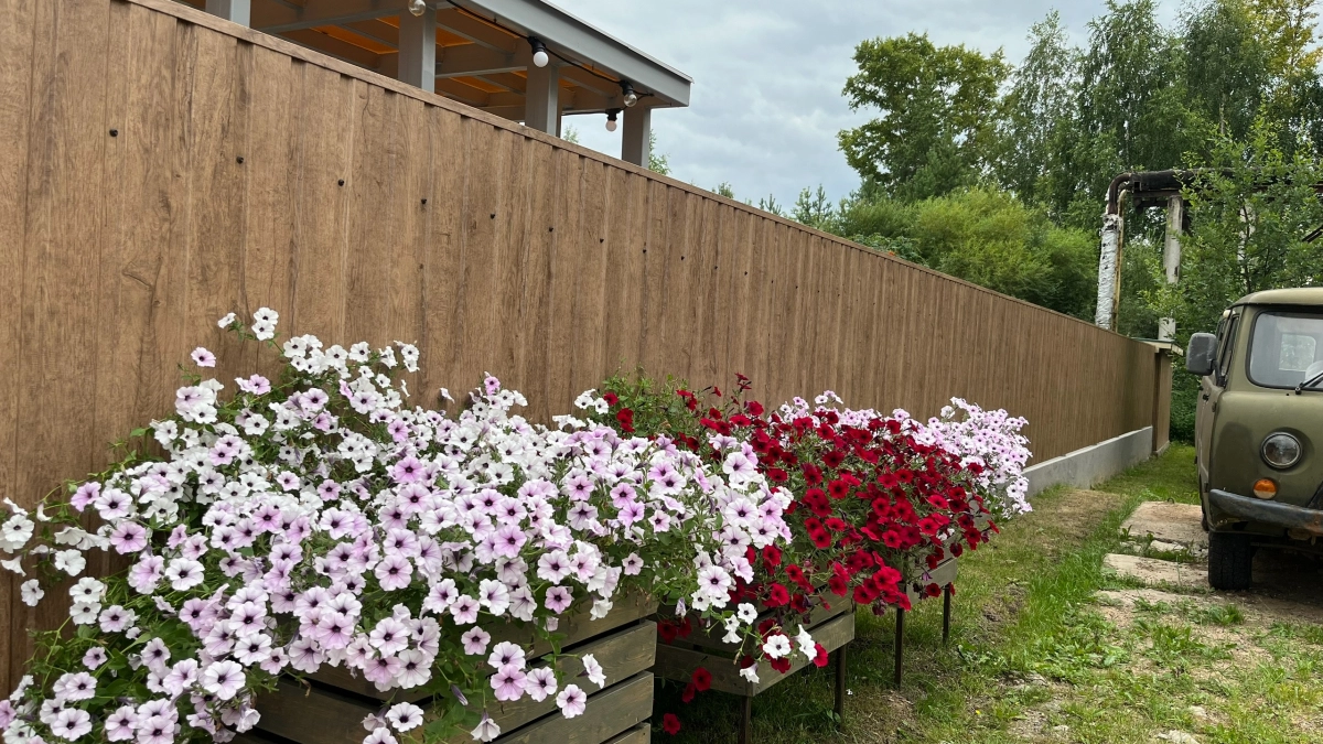 Избавилась от бордюрной ленты - идею украла у английских ландшафтных дизайнеров: больше никаких страшненьких пластиковых заборчиков