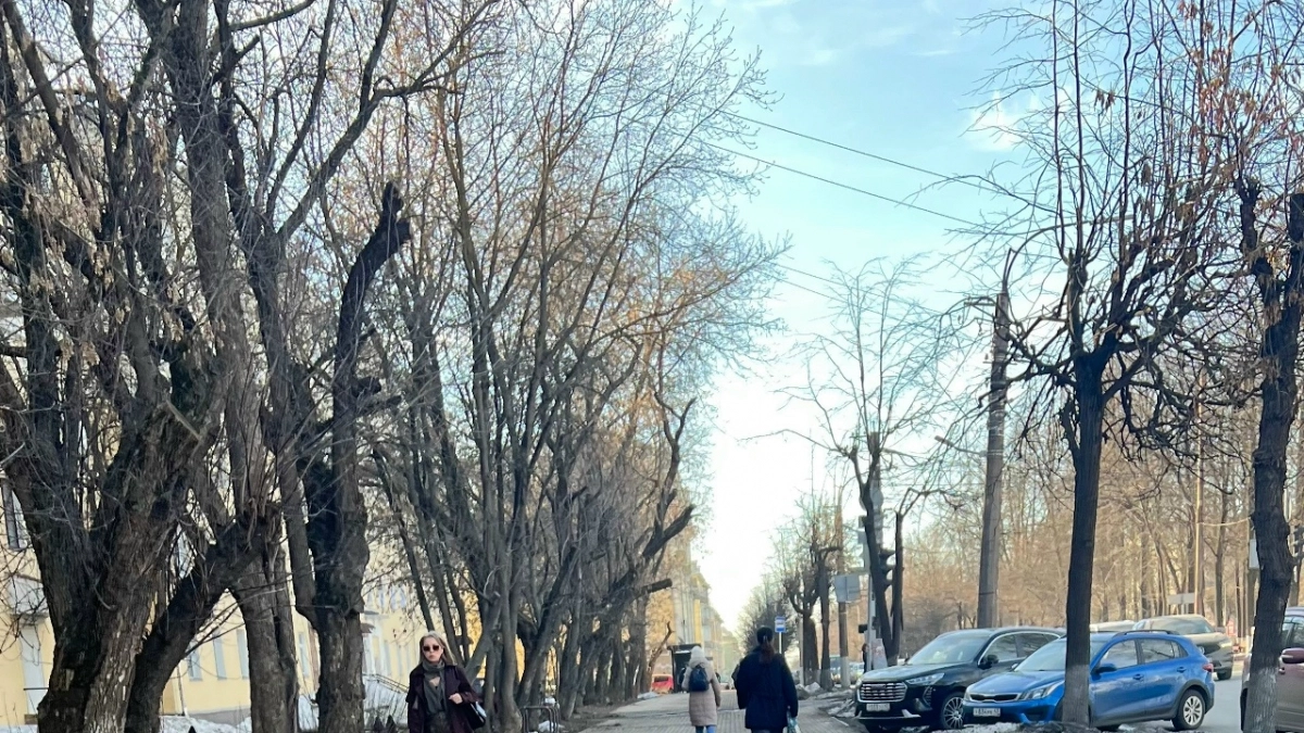 Какой будет погода в Кирове 1 апреля