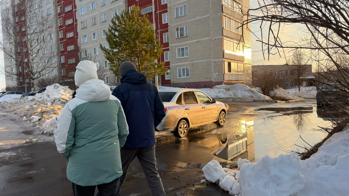 Что ждет каждого в 2026 году: большой прогноз для всех знаков и практические советы