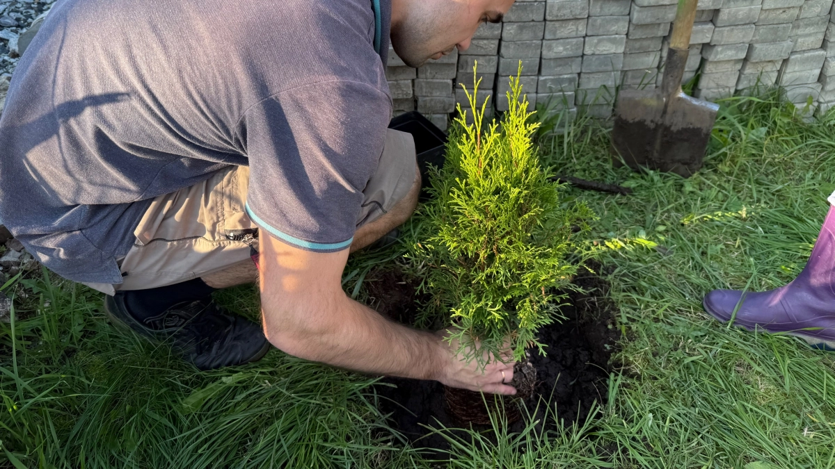 Сорняки сразу завянут: развожу 1 стакан на ведро и поливаю вечером - утром огород полностью чист